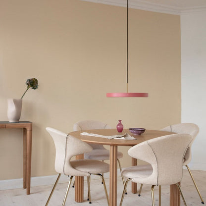 Asteria Plus | Pendelleuchte
